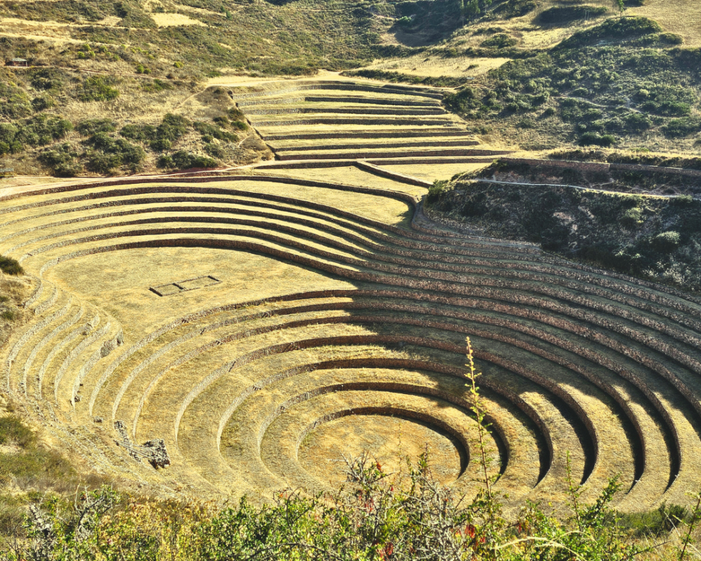 moray 1